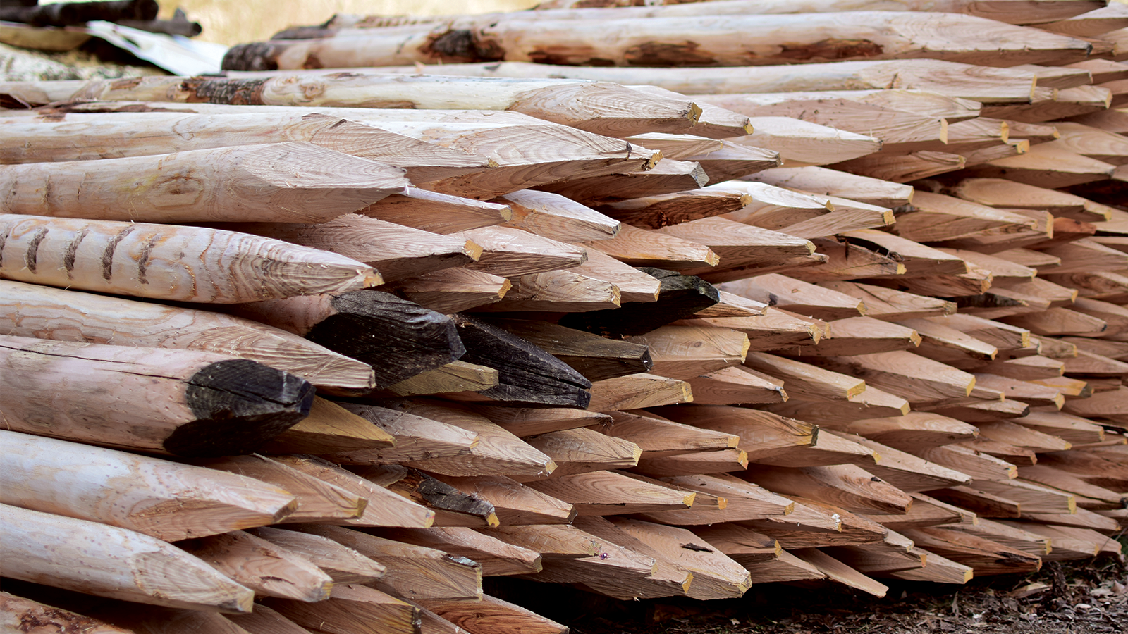 Pali legno di castagno scortecciati cm 200 - arredogiardini.it